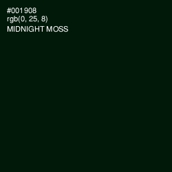 #001908 - Midnight Moss Color Image